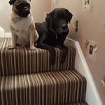 Sandra Rees - @sandra.rees.5 - Instagram