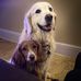 Sandra Rees - Facebook