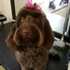 sandrarees902 - @sandrarees902 - TikTok