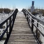 Sandra Lilly Renfro - @sandra.l.renfro - Instagram