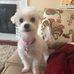 Sandy Rhoten - Facebook