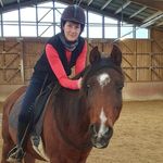 Sandra Rickert - @sari310184 - Instagram