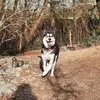 sandrarickert79 - @sandrarickert79 - TikTok