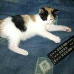 Sandra Riddick - @sandradeedee65 - Instagram
