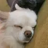 Sandra Riedel - @user761580004688 - TikTok