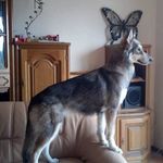 Sandra Riedel - @sandra.riedel.5680 - Instagram