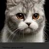 riefki_sandra29 - @riefkisandra29 - TikTok
