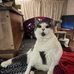 Sandra Rigby - Facebook