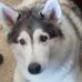 Sandra Rill - Facebook