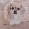 Sandra Ring - @sandra.ring - TikTok