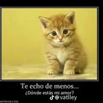 sandrita - @sandr_ariojas - Instagram