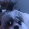 sandra martinez - @sandra2drippy - TikTok