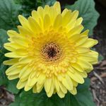 Sandra Campbell Ritch - @sritch1968 - Instagram
