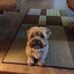 Sandra Ritch - Facebook