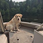 Sandra Ritchey - @sandra.ritchey.182 - Instagram
