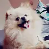 Sandra La Rocca - @sandralarocca1 - TikTok