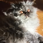 Sandra Rocca - @sandra.rocca.54 - Instagram