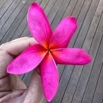 Sandra Roderick - @sroderick2009 - Instagram