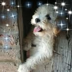 Sandra Rodrigo - Facebook