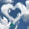 Sandra Rogge - @sandra.rogge - TikTok