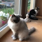Sandra Roggeman - @sandraroggeman - Instagram