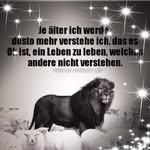 Sandra Rogger - @sandrarogger - Instagram