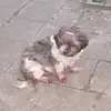 sandrarogge559 - @sandrarogge559 - TikTok
