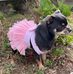 Sandra Rohner - Facebook