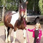 Sandra Rohner - @sandra.rohner.503 - Instagram
