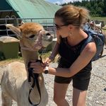 Sandra Rohrer - @sanroh80 - Instagram