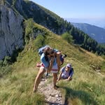 Sandra Rolfe - @rolfe652 - Instagram