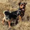 Sandra Rolfe - @sandra.rolfe4 - TikTok