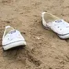 sandracrombach745 - @sandracrombach745 - TikTok