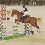 Sandra Rosell - @druka_16 - Instagram