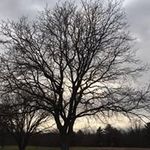 Sandra Rosner - @roselda8 - Instagram
