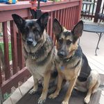 Sandra Milnes-Roundtree - @milnesroundtree - Instagram