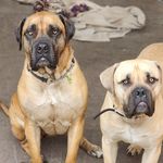 Sandra Rowley - @sandy.rowley1055 - Instagram