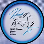 Head 2 Tail PEMF Therapy | Sandra Royce - @head2tailpemf - Instagram