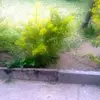 Sandrah Rue - @sandrah.rue - TikTok