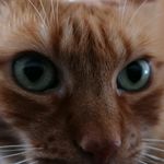 Sandra Rühl - @sandra.ruhl.790 - Instagram