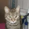Sandra Rühl - @marmelade68 - TikTok