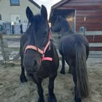 Sandra de Ruiter - @sandraruiter01 - Instagram