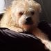 Sandra Ruiter - Facebook