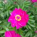 Sandra Rusch - Facebook