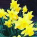 Sandra Rutherford - Facebook