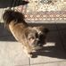 Sandy Rutherford - Facebook
