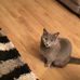 Sandra Rendall - Facebook