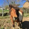 sandrasabathier - @sandrasabathier - TikTok
