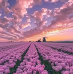 Sandra Sabin - Facebook