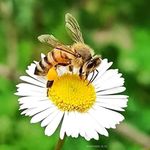 Sandra Sacchetti - @sacchetti9934 - Instagram